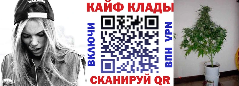 Сколько стоит Горно-Алтайск Псилоцибиновые грибы  АМФЕТАМИН  СК  Меф мяу мяу  Гашиш  Вейп ТГК  Марихуана  Cocaine 