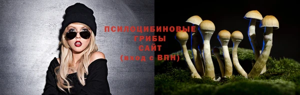 твердый Аркадак