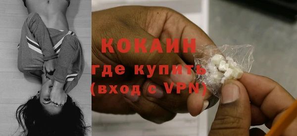 твердый Аркадак