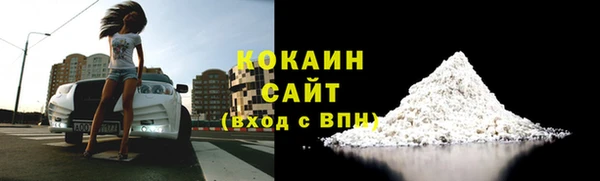 твердый Аркадак