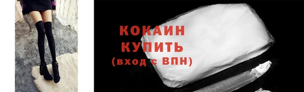 твердый Аркадак