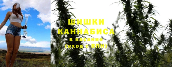 твердый Аркадак