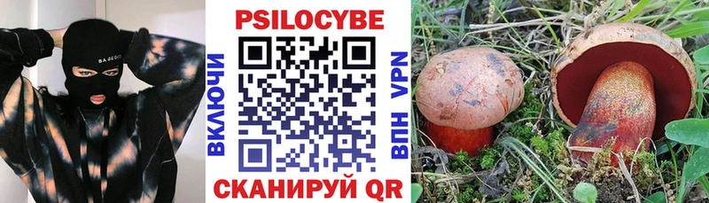 Галлюциногенные грибы Magic Shrooms  Горно-Алтайск 